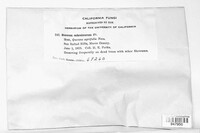 Image Associated With the Occurence